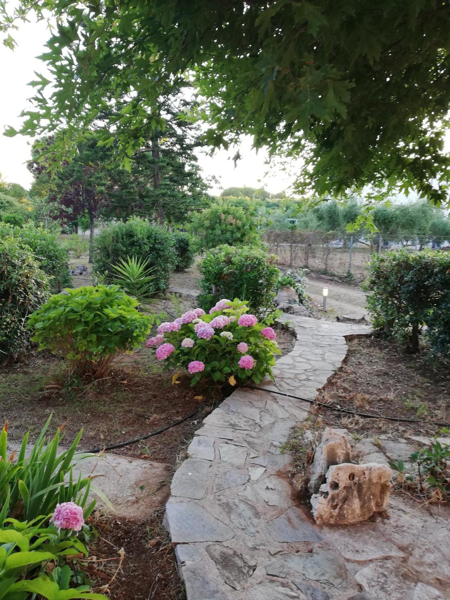 Villa Oneiropagida Preveza Esterno foto